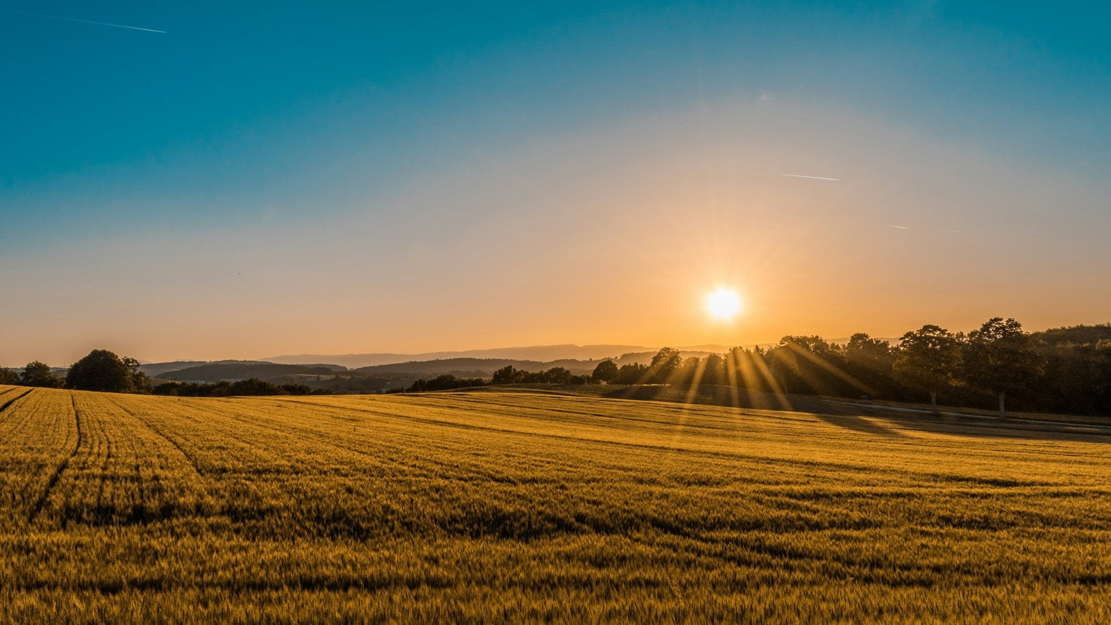 Green agricultural fields stretching across a rural landscape
